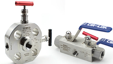 Block and Bleed Valves