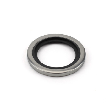 Gasket BS-BS