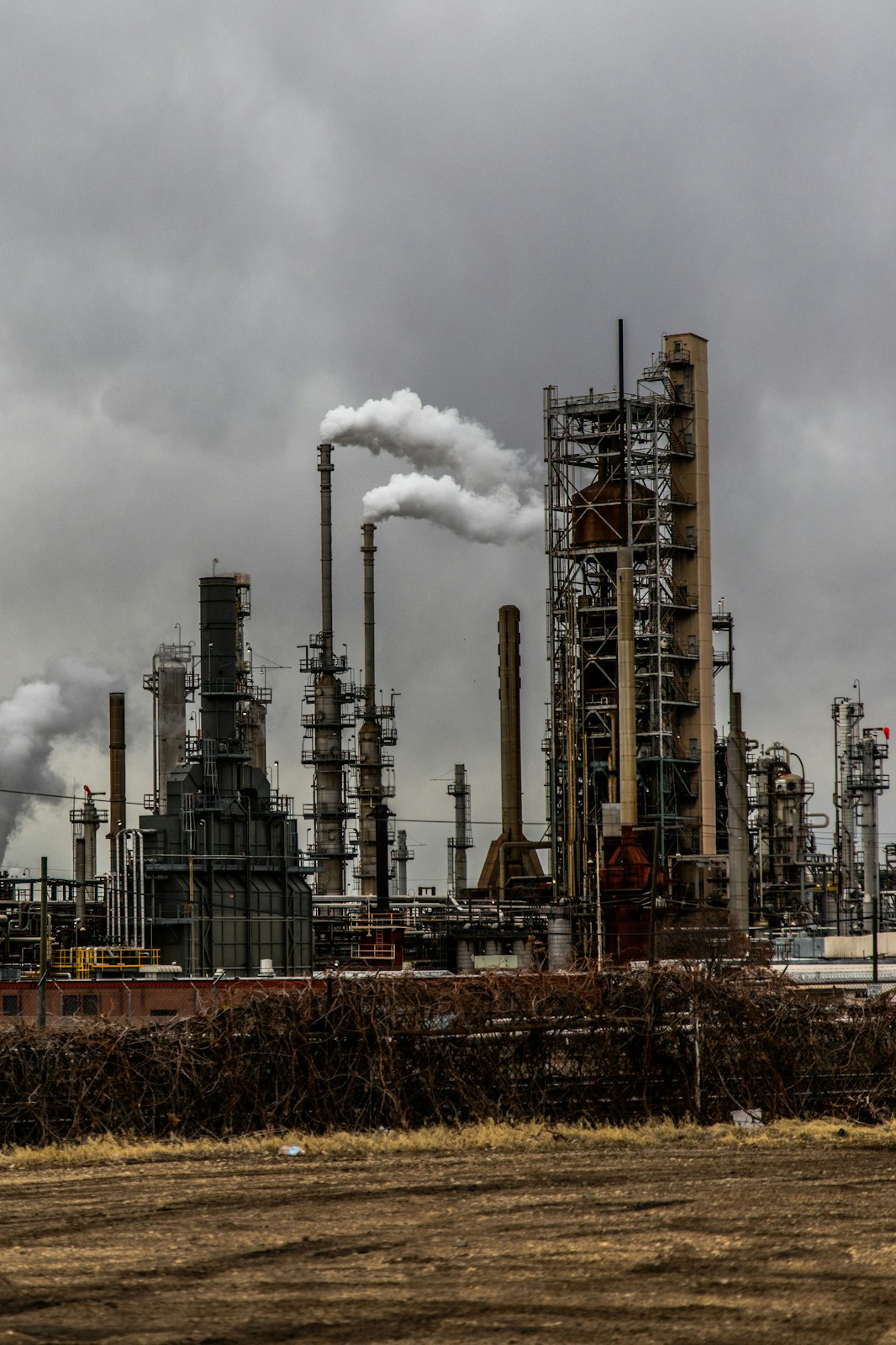 Petroleum & Petrochemical