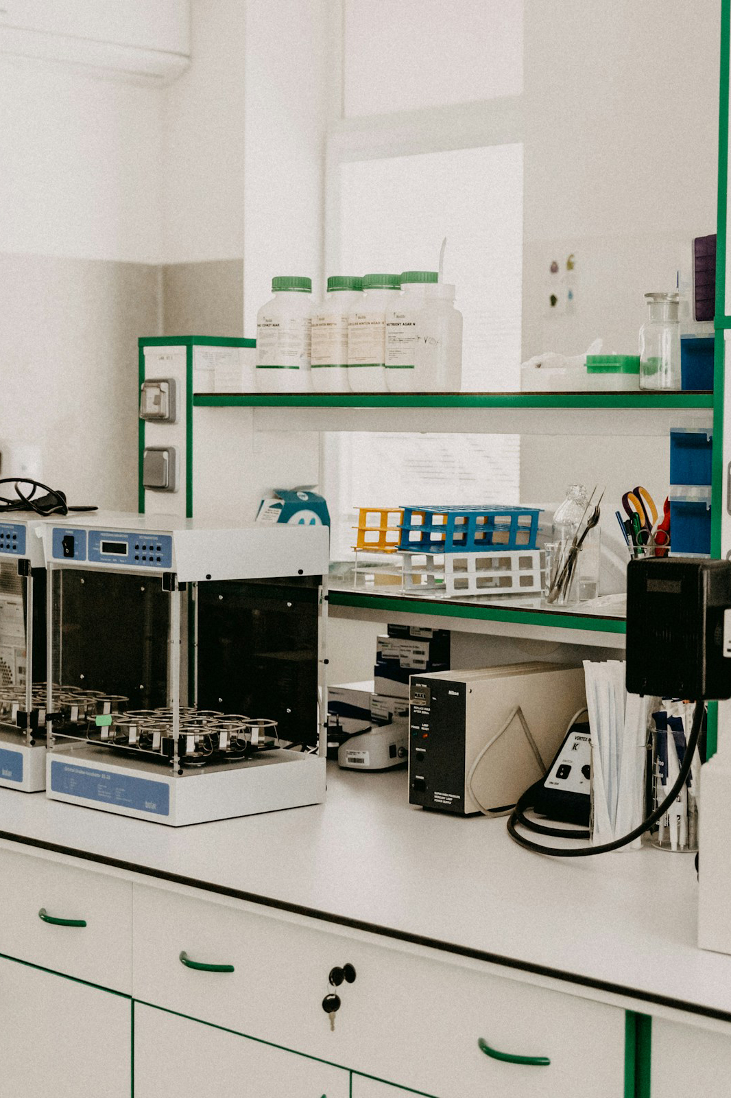 Petroleum & Petrochemical